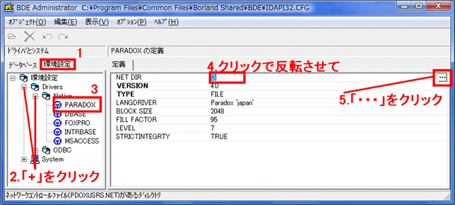 Bdeadmin Config File img06.png
